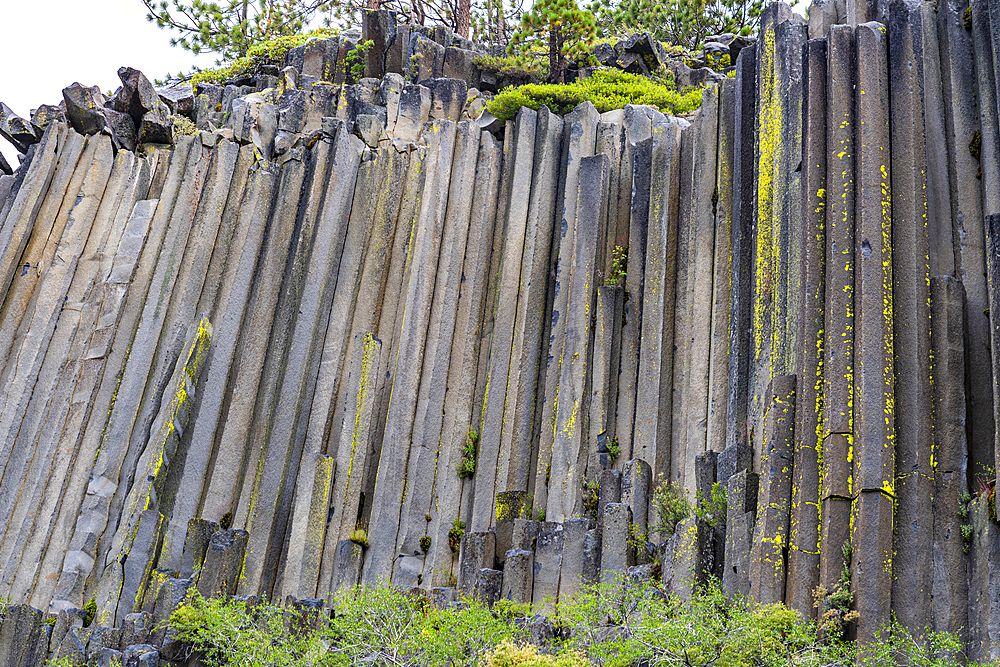 Rock formation of columnar basalt, Devils Postpile National Monument, Mammoth Mountain, California, United States of America, North America