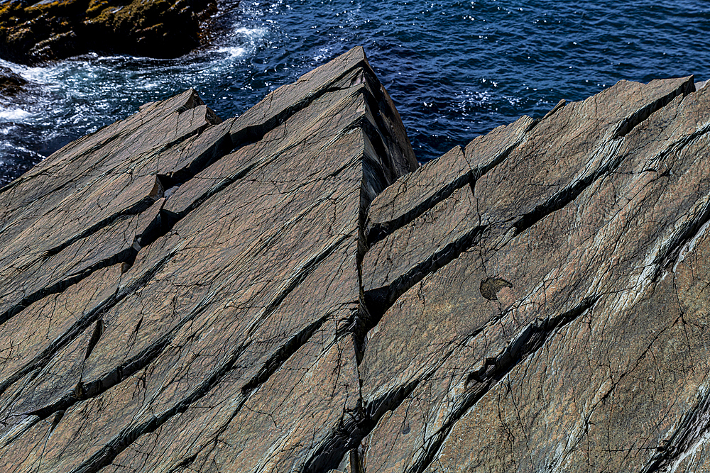 Precambrian fossils, Mistaken Point, UNESCO World Heritage Site, Avalon Peninsula, Newfoundland, Canada, North America