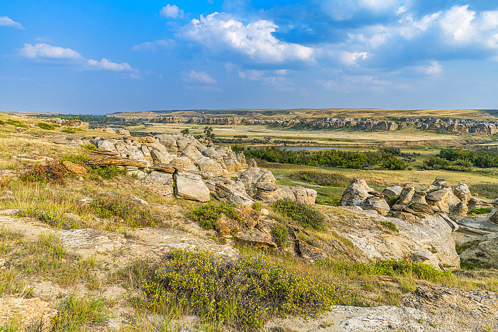 Hoodoos along the Milk River, Writing-on-Stone Provincial Park, UNESCO World Heritage Site, Alberta, Canada, North America