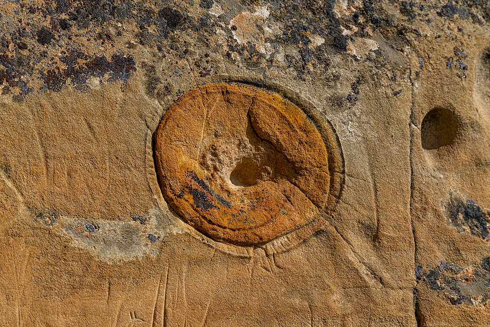 Indian rock carving, Writing-on-Stone Provincial Park, UNESCO World Heritage Site, Alberta, Canada, North America