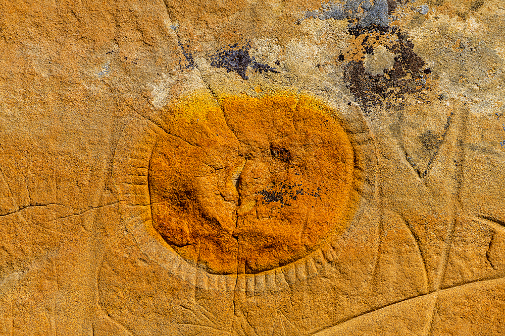 Indian rock carving, Writing-on-Stone Provincial Park, UNESCO World Heritage Site, Alberta, Canada, North America