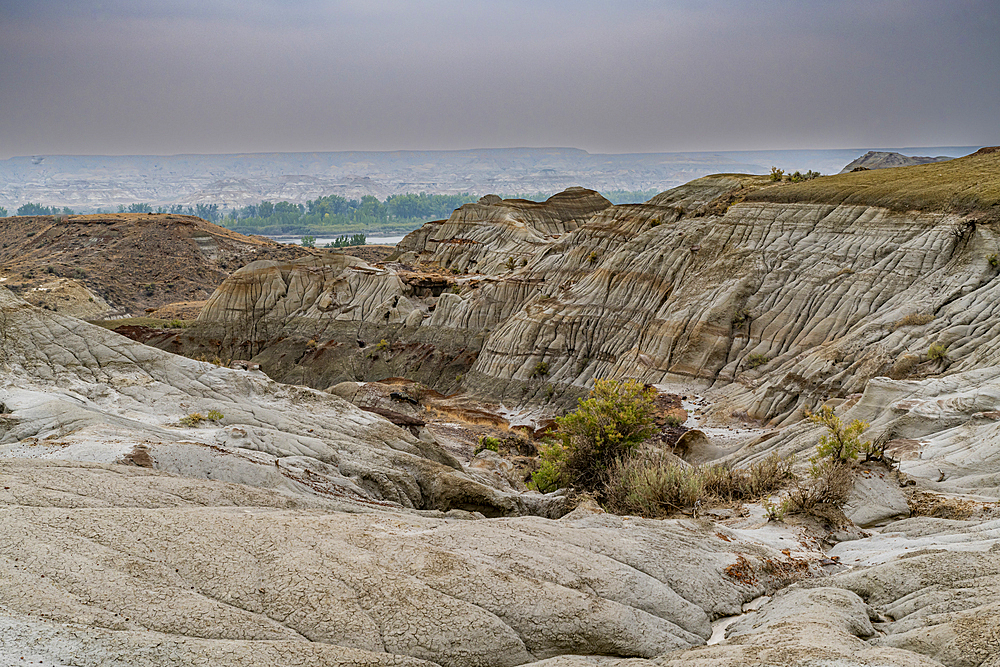 Eroded landscape in the Dinosaur Provincial Park, UNESCO World Heritage Site, Alberta, Canada, North America