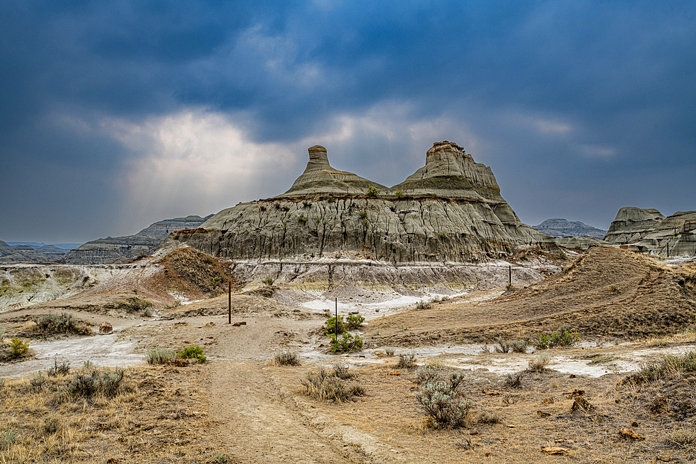 Eroded landscape in the Dinosaur Provincial Park, UNESCO World Heritage Site, Alberta, Canada, North America