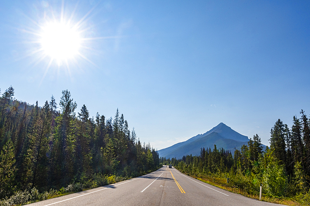 Glacier Parkway, Alberta, Canada, North America