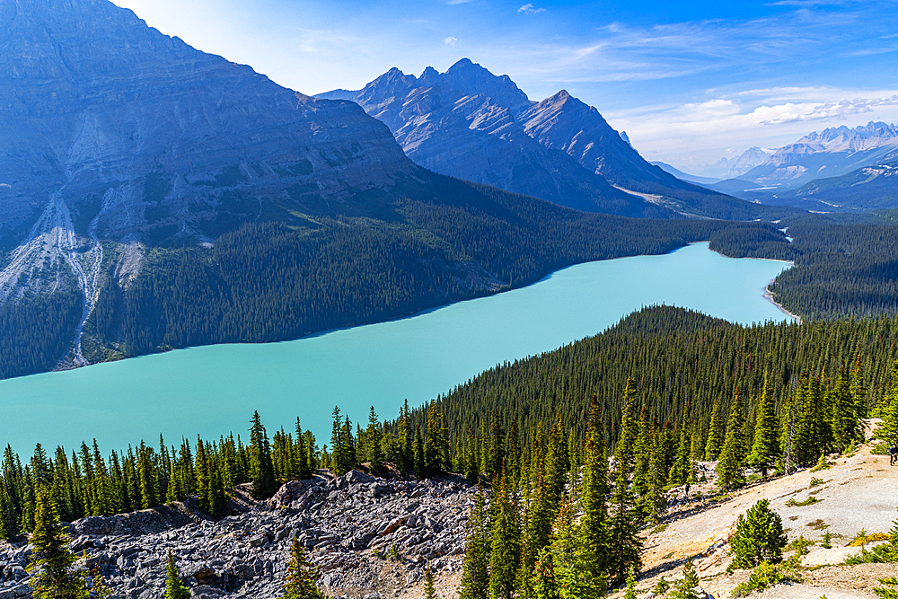 Turquoise Peyto Lake, Glacier Parkway, Banff National Park, UNESCO World Heritage Site, Alberta, Canadian Rockies, Canada, North America