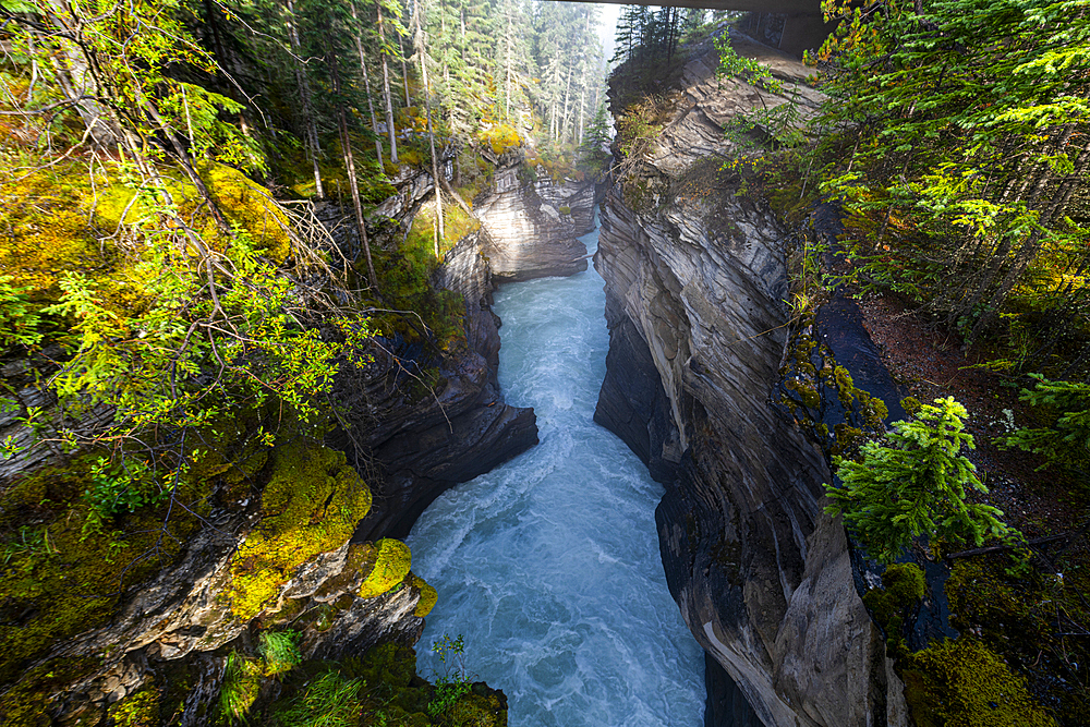 Athabasca Falls at sunrise, Glacier Parkway, Jasper National Park, UNESCO World Heritage Site, Alberta, Canadian Rockies, Canada, North America