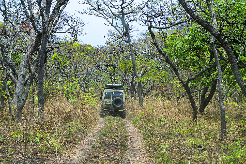 Jeep driving through the Cangandala National Park, Malanje, Angola, Africa