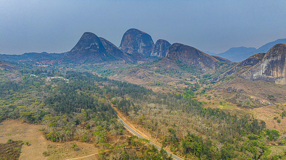 Conda, Kumbira Forest Reserve, Kwanza Sul, Angola, Africa