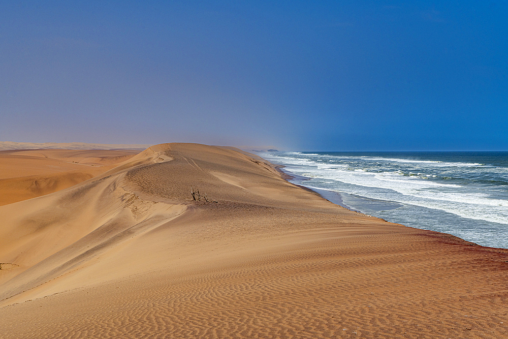 Sand dunes along the Atlantic coast, Namibe (Namib) desert, Iona National Park, Namibe, Angola, Africa