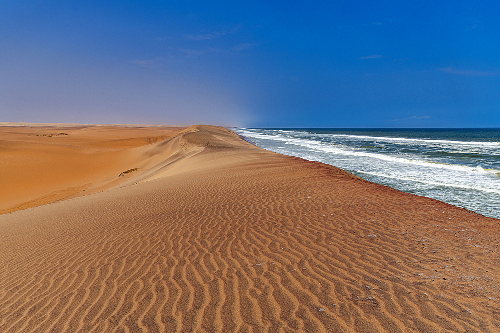 Sand dunes along the Atlantic coast, Namibe (Namib) desert, Iona National Park, Namibe, Angola, Africa