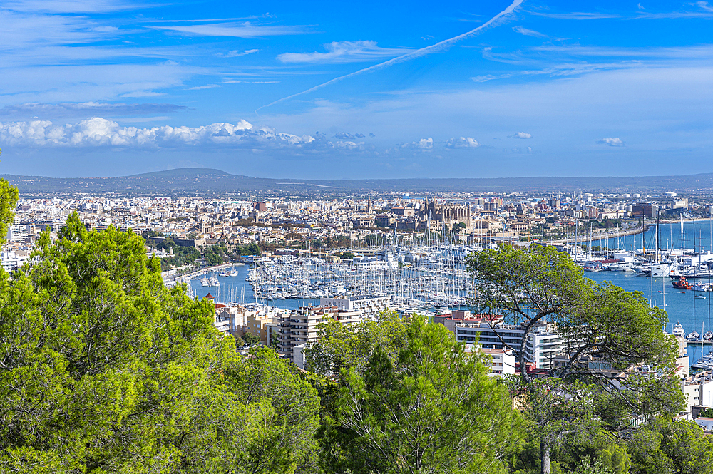 View from Bellver Castle over Palma, Mallorca, Balearic islands, Spain, Mediterranean, Europe