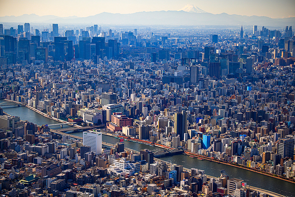 Aerial Japan cityscape, Tokyo, Honshu, Japan, Asia