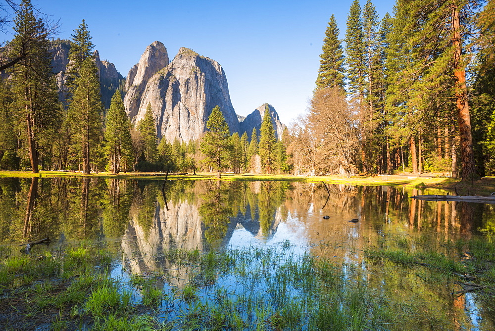 Yosemite National Park, UNESCO World Heritage Site, California, United States of America, North America