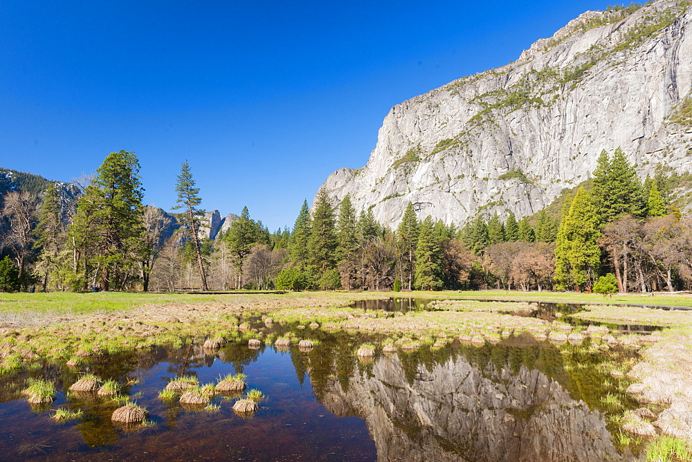 Yosemite National Park, UNESCO World Heritage Site, California, United States of America, North America