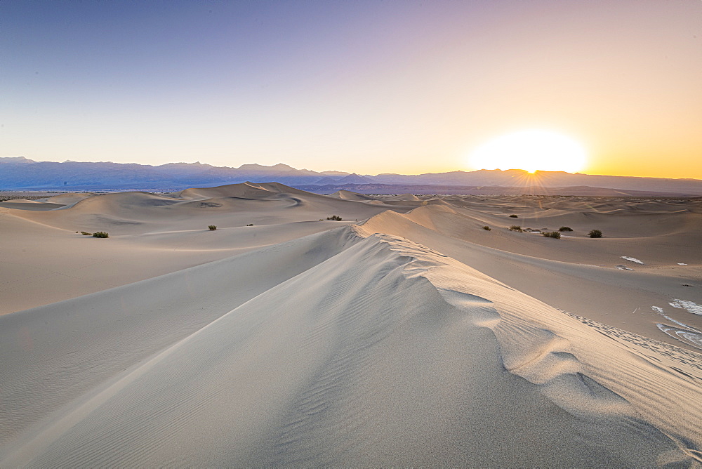 Mesquite flat sand dunes in Death Valley National Park, California, United States of America, North America