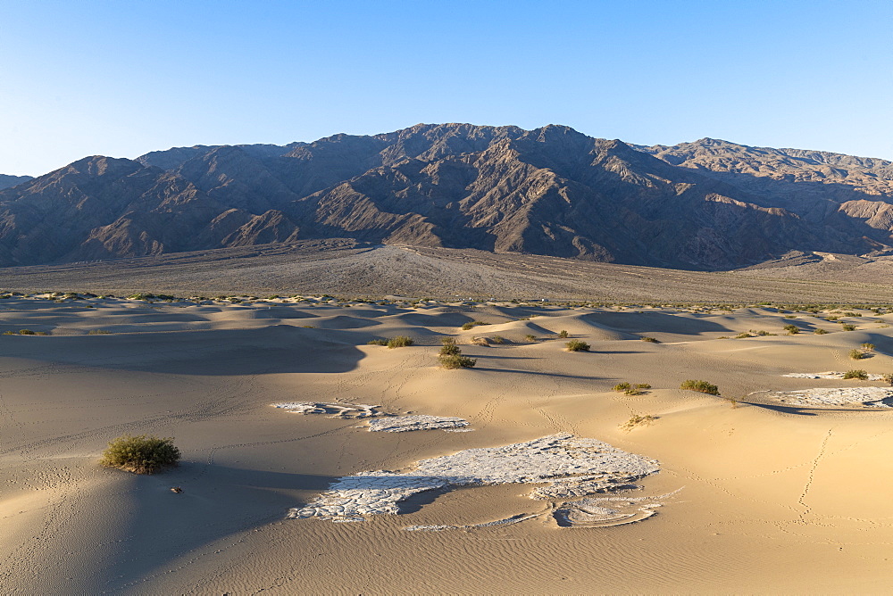 Mesquite flat sand dunes in Death Valley National Park, California, United States of America, North America