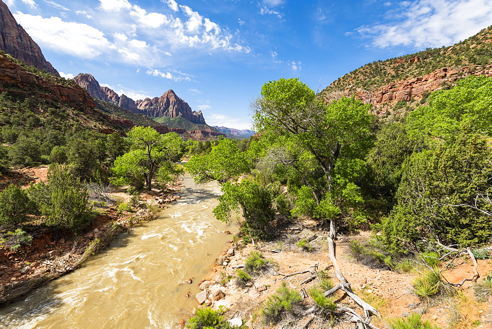 View of the Watchman down the Virgin River, Zion National Park, Utah, United States of America, North America