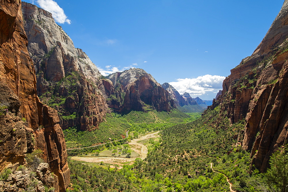 Hikers on the trail to Angels Landing, Zion National Park, Utah, United States of America, North America