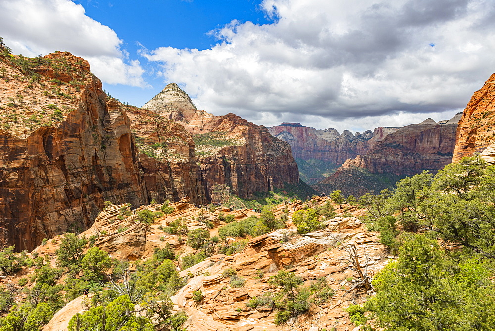 Canyon Overlook, Zion National Park, Utah, United States of America, North America