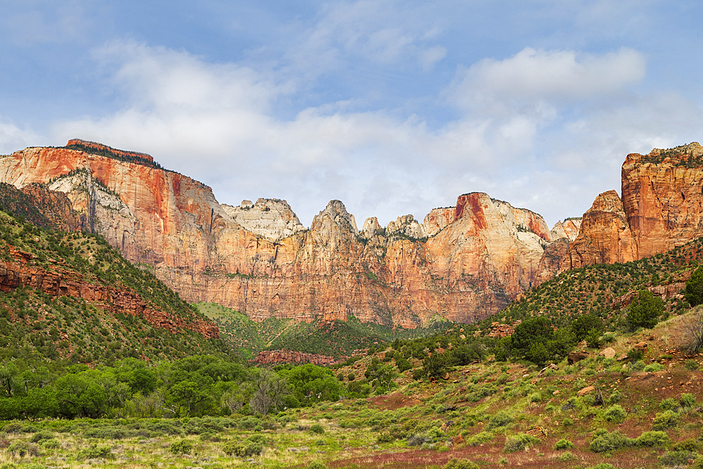 Temples and Towers of the Virgin, Zion National Park, Utah, United States of America, North America