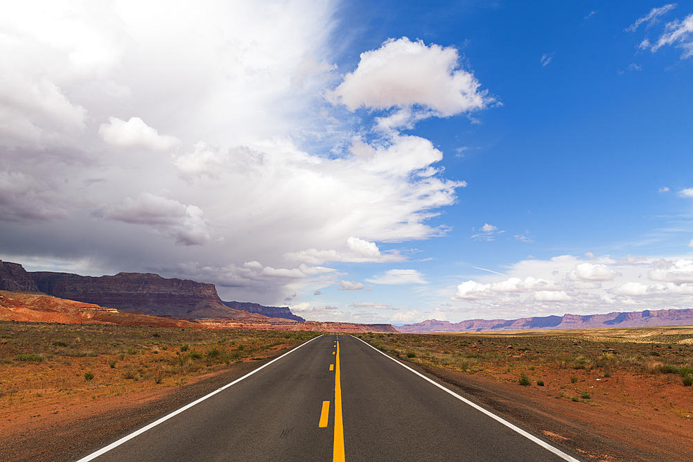 Highway on the North Rim of the Grand Canyon, Arizona, United States of America, North America