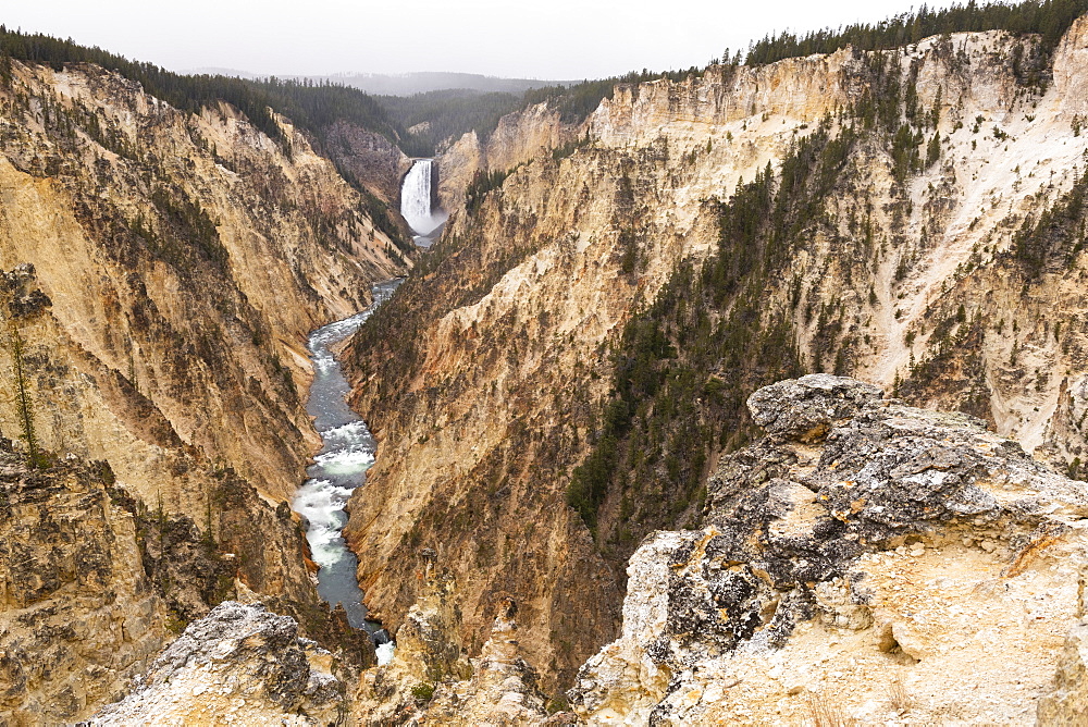 Yellowstone National Park, UNESCO World Heritage Site, Wyoming, United States of America, North America