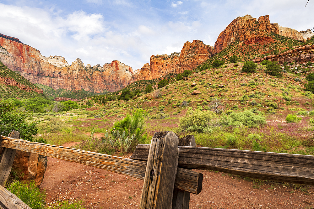 Temples and Towers of the Virgin, Zion National Park, Utah, United States of America, North America