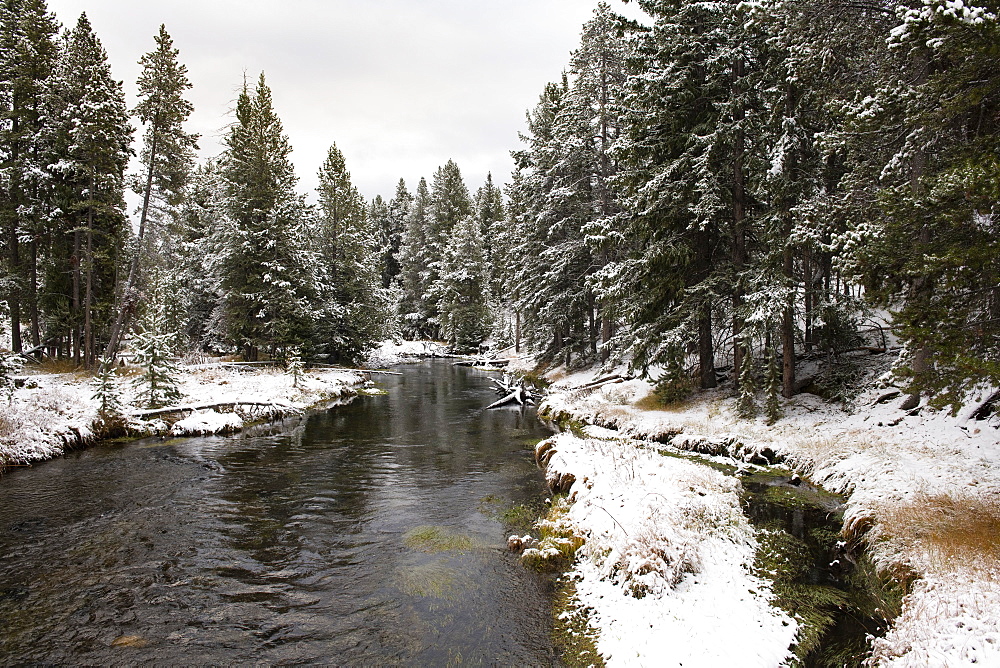 Yellowstone National Park, UNESCO World Heritage Site, Wyoming, United States of America, North America