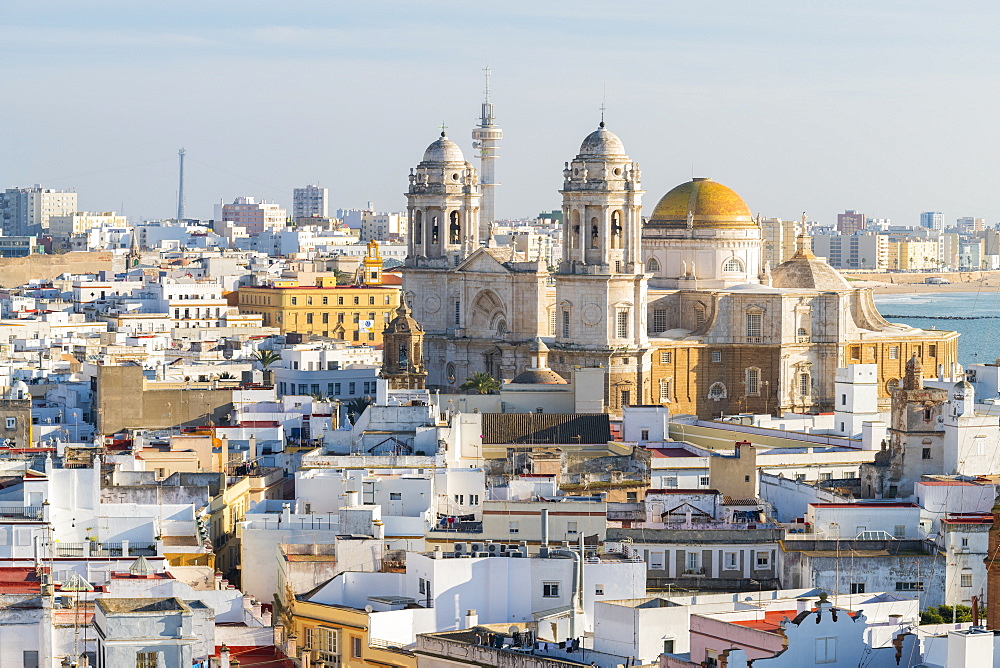 View of the Santa Cruz Cathedral seen from the Tavira Tower, Cadiz, Andalusia, Spain, Europe