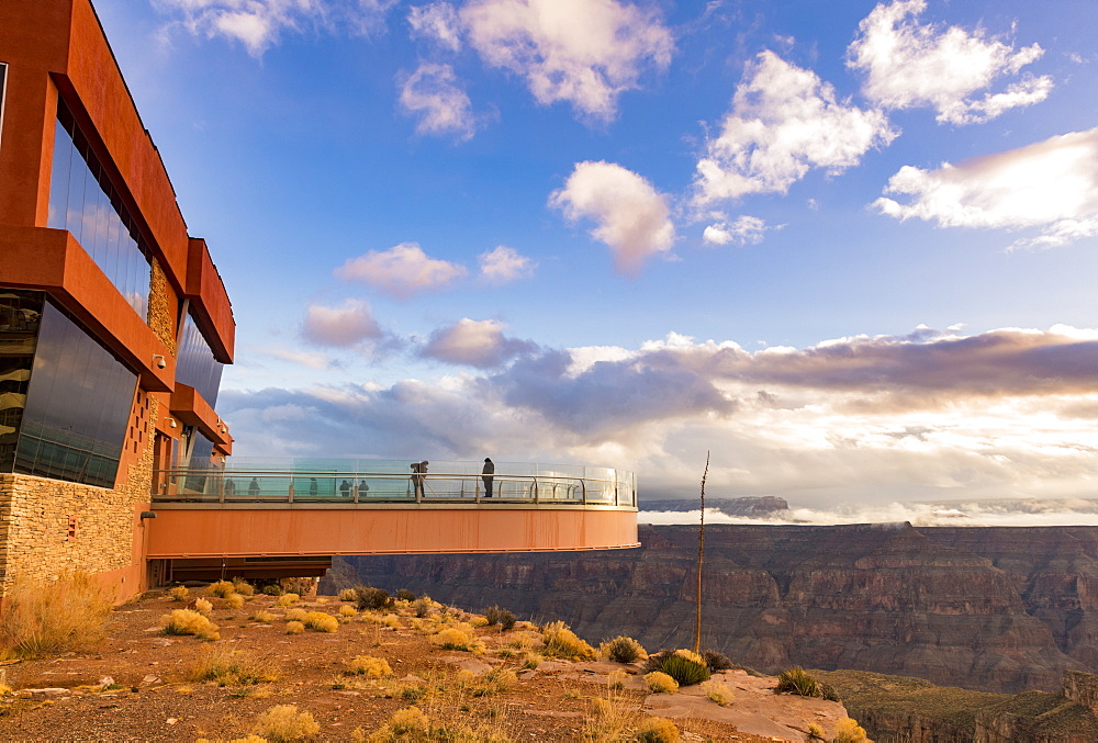 Sky Walk over the Grand Canyon and Colorado River, UNESCO World Heritage Site, Arizona, United States of America, North America