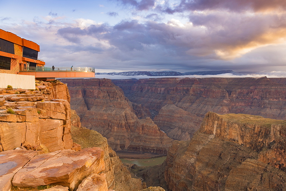 Sky Walk over the Grand Canyon and Colorado River, UNESCO World Heritage Site, Arizona, United States of America, North America