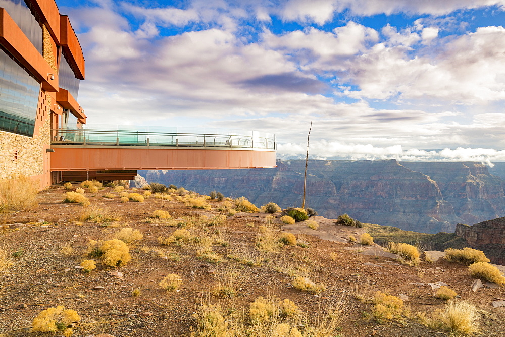 Sky Walk over the Grand Canyon and Colorado River, UNESCO World Heritage Site, Arizona, United States of America, North America