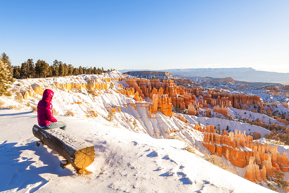 Bryce Canyon National Park, Utah, United States of America, North America