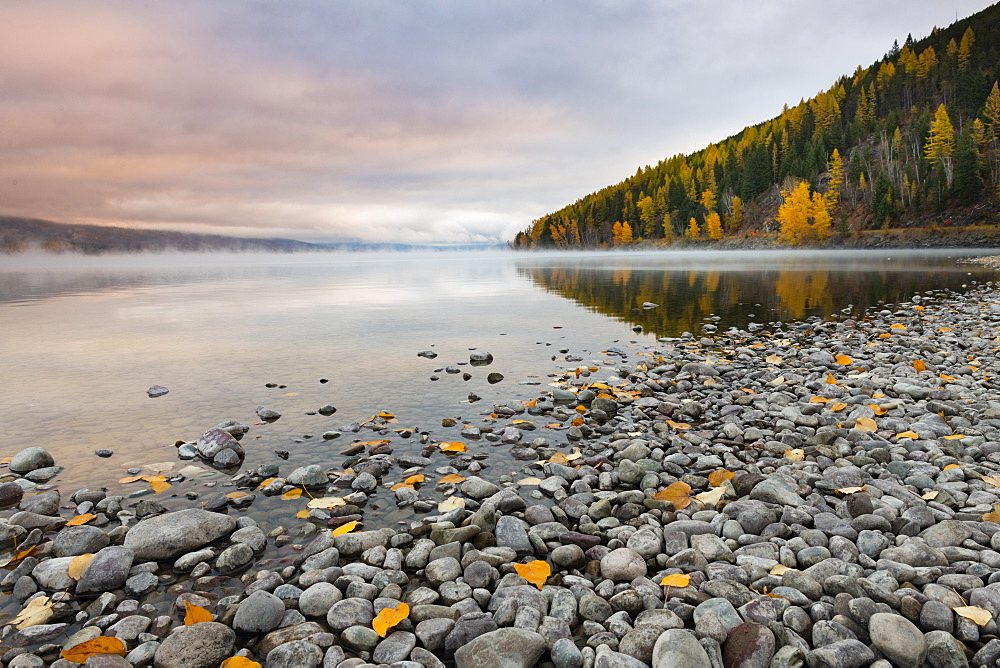 Sunrise on the shore of Lake McDonald, Glacier National Park, Montana, United States of America, North America