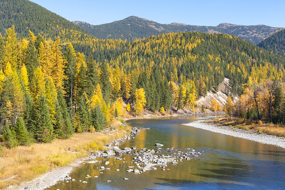 Fall colours along McDonald Creek, Glacier National Park, Montana, United States of America, North America