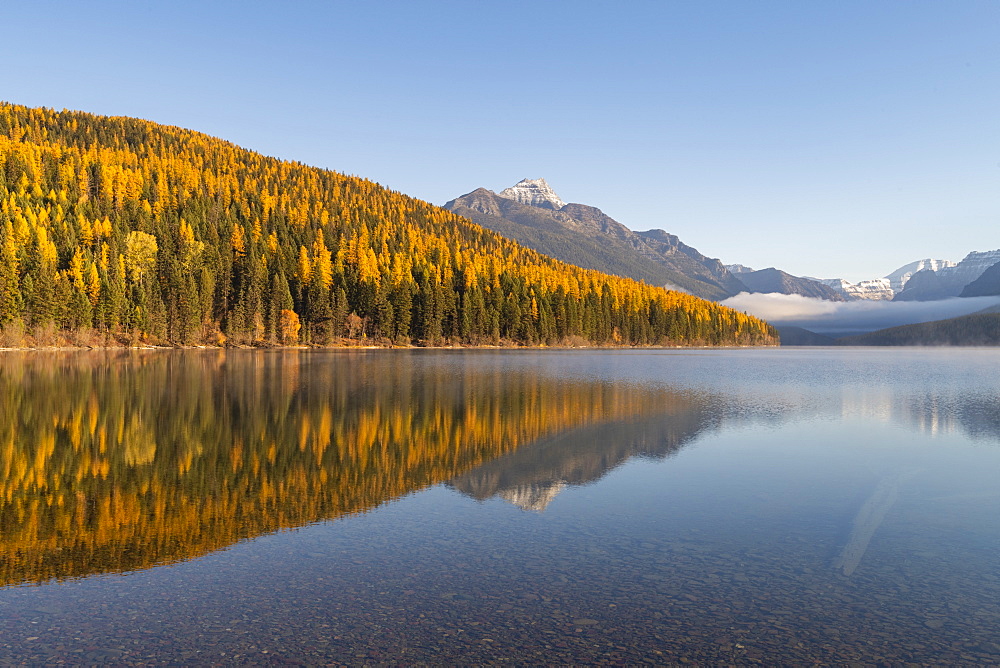 Bowman Lake, Glacier National Park, Montana, United States of America, North America