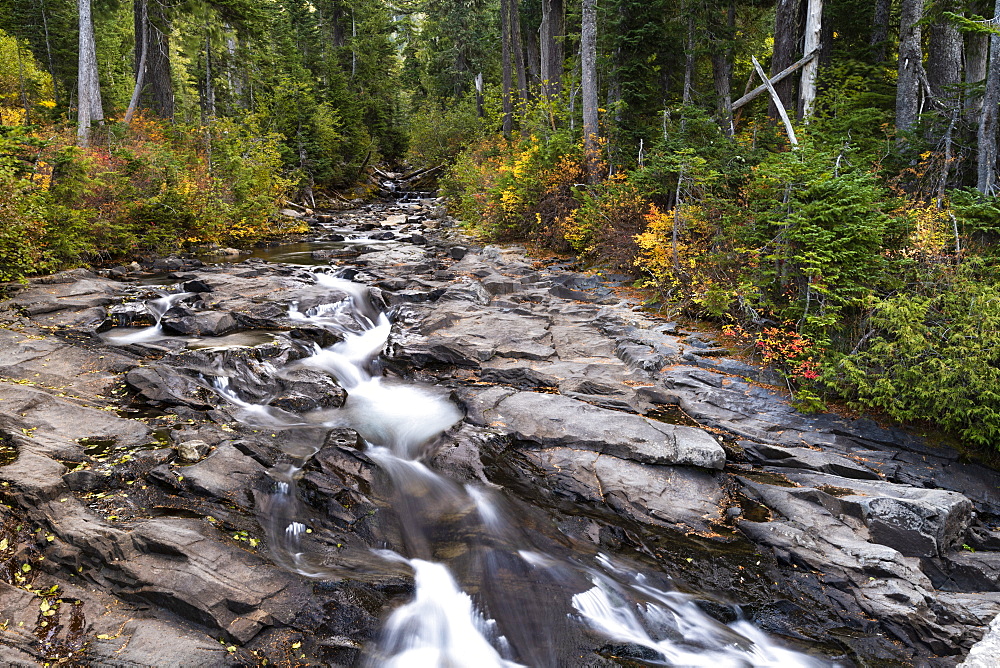 Narada Falls, Mount Rainier National Park, Washington State, United States of America, North America