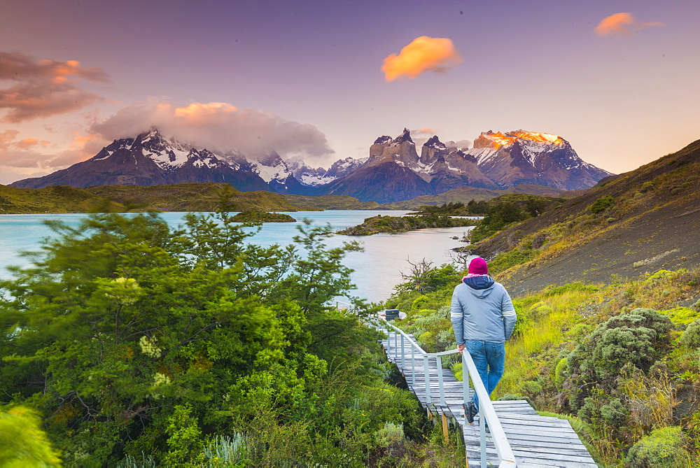 Boardwalks at Lake Pehoe, Torres Del Paine National Park, Patagonia, Chile, South America