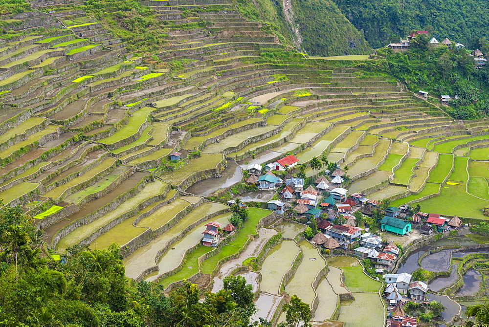 Batad, UNESCO World Heritage Site, Luzon, Philippines, Southeast Asia, Asia