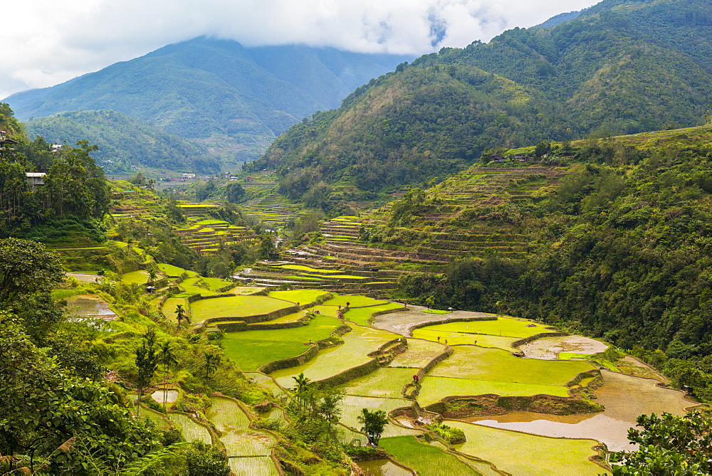 Hapao, Luzon, Philippines, Southeast Asia, Asia