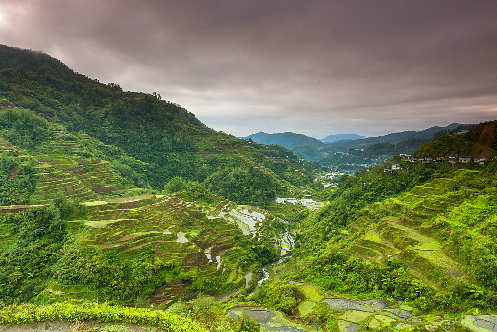 Rice Terraces, Banaue, UNESCO World Heritage Site, Luzon, Philippines, Southeast Asia, Asia