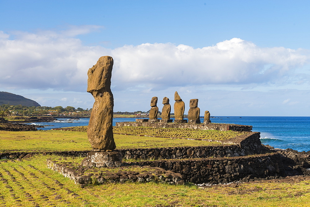 Moai heads of Easter Island, Rapa Nui National Park, UNESCO World Heritage Site, Easter Island, Chile, South America