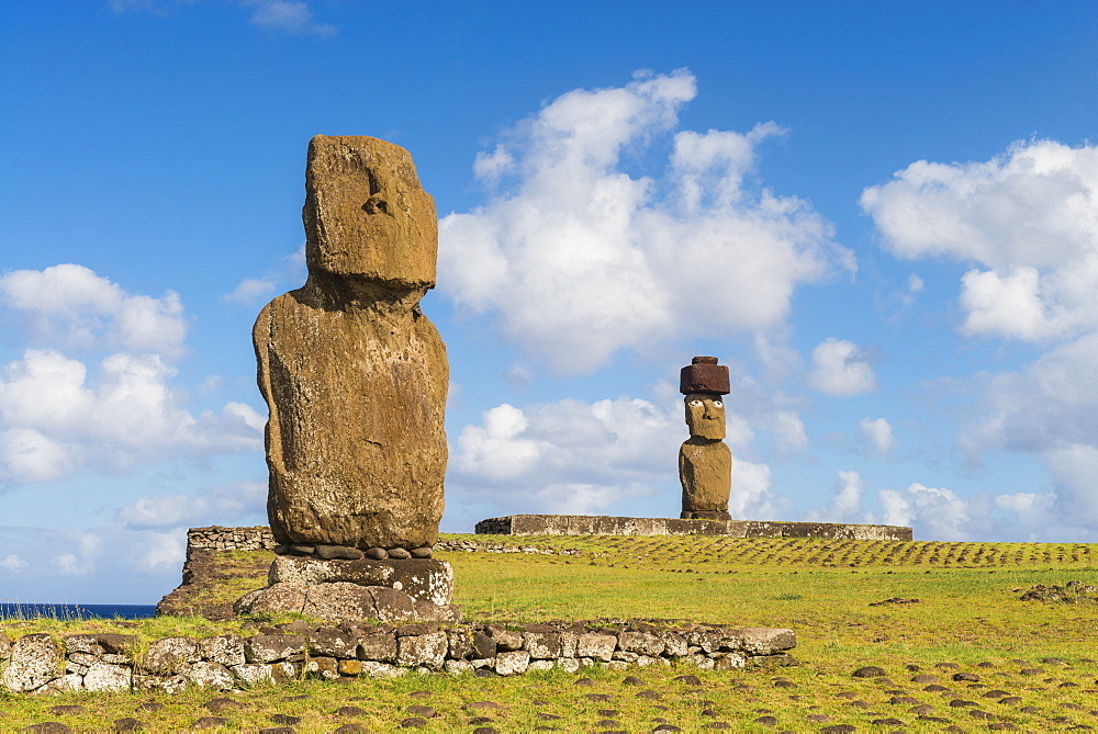 Moai heads of Easter Island, Rapa Nui National Park, UNESCO World Heritage Site, Easter Island, Chile, South America