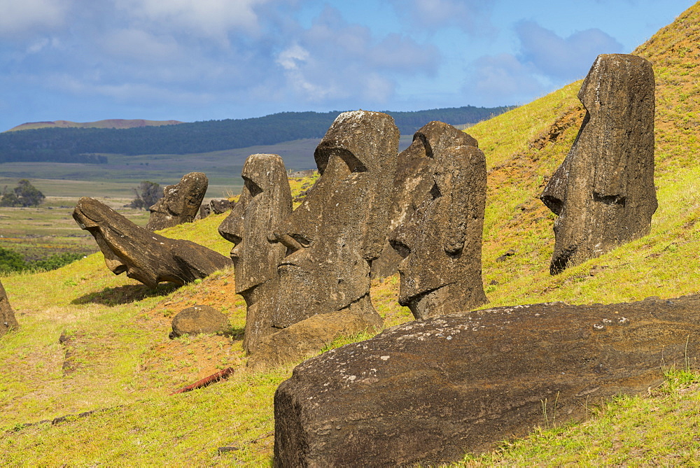 Moai heads of Easter Island, Rapa Nui National Park, UNESCO World Heritage Site, Easter Island, Chile, South America