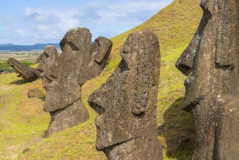 Moai heads of Easter Island, Rapa Nui National Park, UNESCO World Heritage Site, Easter Island, Chile, South America