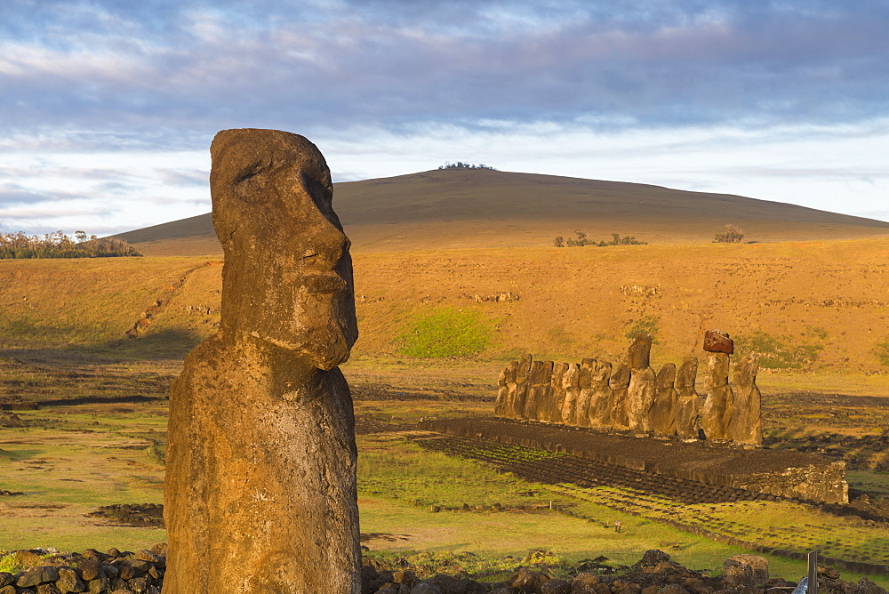 Moai heads of Easter Island, Rapa Nui National Park, UNESCO World Heritage Site, Easter Island, Chile, South America