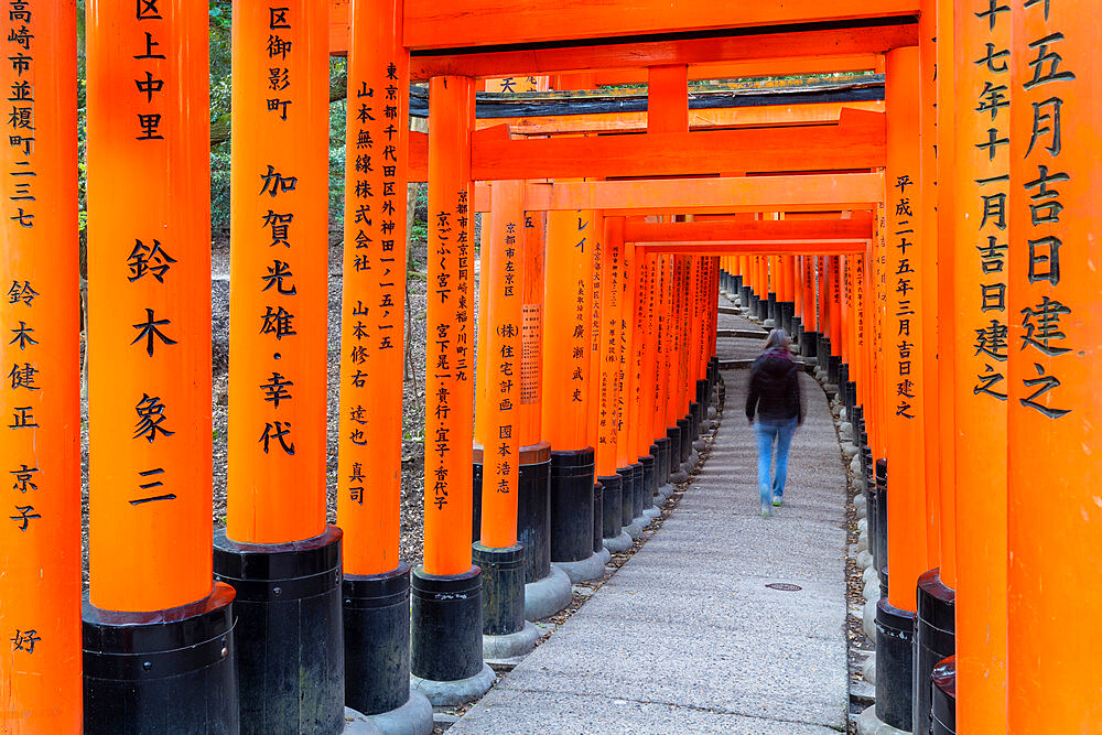 Fushimi Inari Taisha shrine and torii gates, Kyoto, Japan, Asia