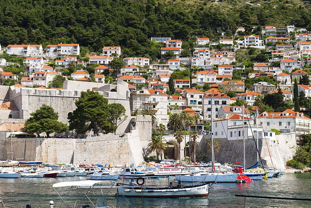 Dubrovnik Harbour, UNESCO World Heritage Site, Dubrovnik, Croatia, Europe