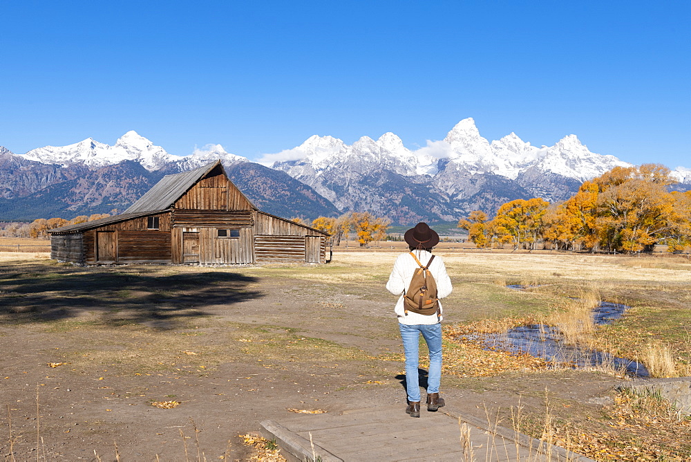 Mormon Row and Teton Range, Grand Teton National Park, Wyoming, United States of America, North America