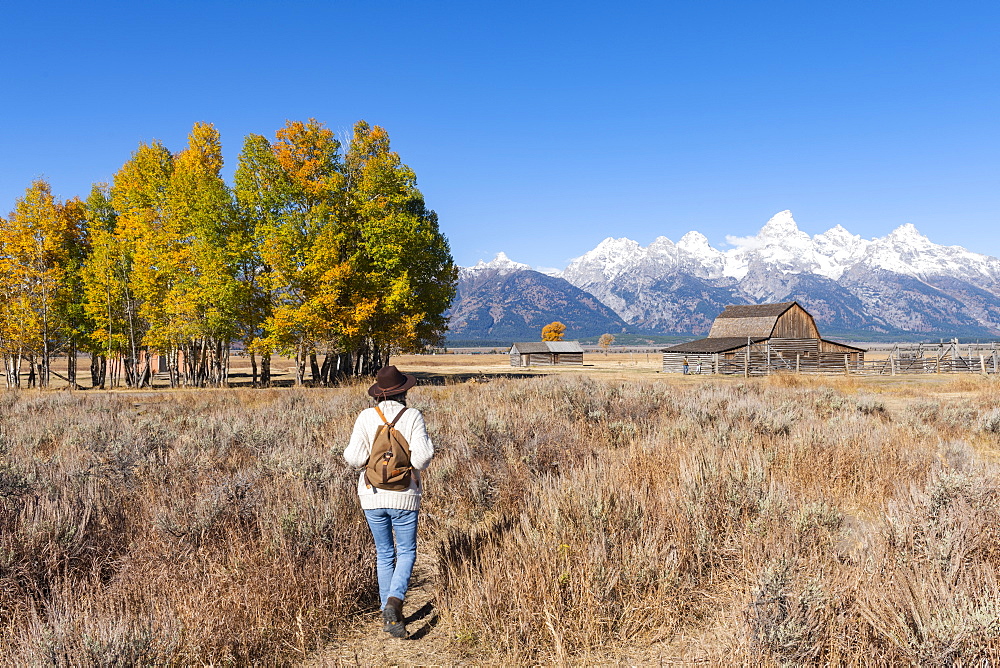 Mormon Row and Teton Range, Grand Teton National Park, Wyoming, United States of America, North America